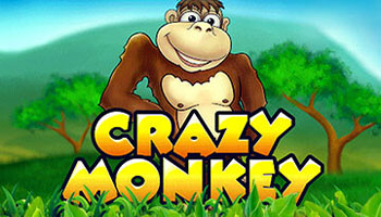 Crazy Monkey